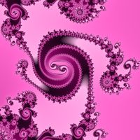 Mandelbrot A Dream In Pink